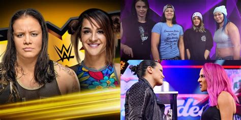 dakota kai relationships|WWE Star Dakota Kai Is In A Relationship With Her Partner Karl ...